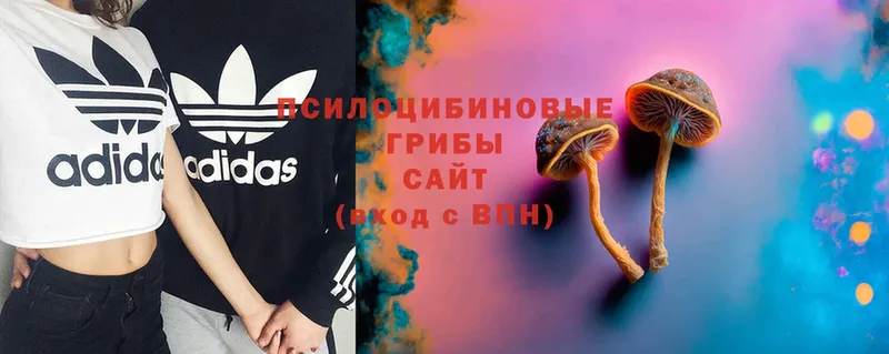 OMG ССЫЛКА  Струнино  Псилоцибиновые грибы Psilocybe 